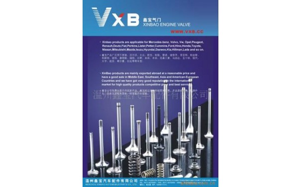 系列各种气门_VXB鑫宝气门适用，欧美日韩系列各种气门-- 温州鑫宝汽车配件有限公司