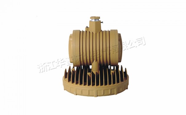 LED免維護(hù)防爆燈HPD320