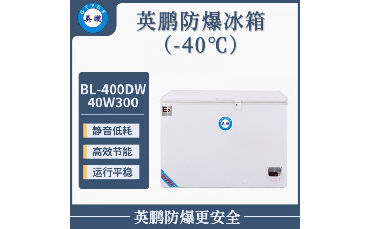 英鹏-40℃低温冰箱-卧式300升-工业低温冷藏冰箱