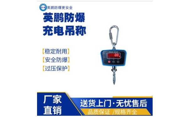 英鹏工业防爆充电吊秤 EXBZ-900/S100-- 广东英鹏暖通设备有限公司