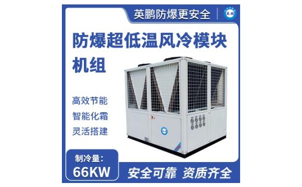 英鹏防爆超低温风冷模块机组66KW-- 广东英鹏暖通设备有限公司