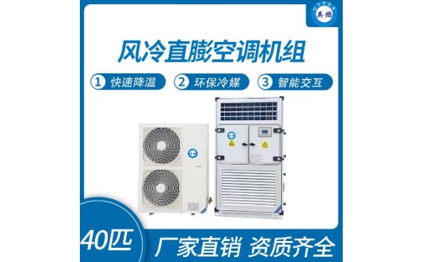 英鹏风冷直膨空调机组40匹-- 广东英鹏暖通设备有限公司