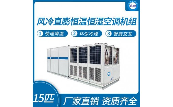 英鹏风冷直膨恒温恒湿空调机组15匹-- 广东英鹏暖通设备有限公司