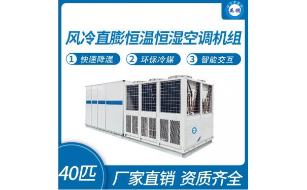 英鹏风冷直膨恒温恒湿空调机组40匹-- 广东英鹏暖通设备有限公司
