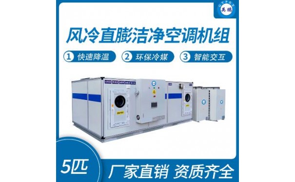 英鹏风冷直膨洁净空调机组5匹-- 广东英鹏暖通设备有限公司