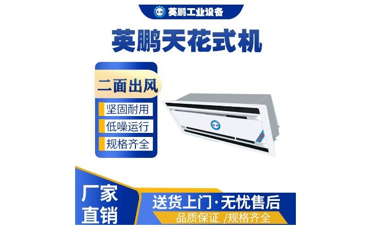 英鹏天花内机YPDL-56Q2Y/2匹