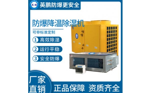英鹏防爆风管式降温除湿机40KG-- 广东英鹏暖通设备有限公司